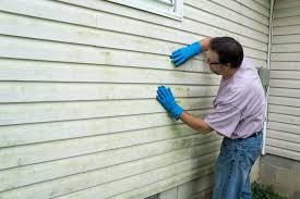 Affordable Siding Repair and Maintenance Services in Noyack, NY